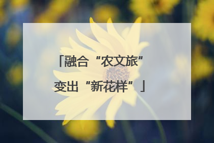 融合“农文旅” 变出“新花样”