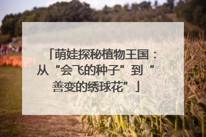 萌娃探秘植物王国：从“会飞的种子”到“善变的绣球花”