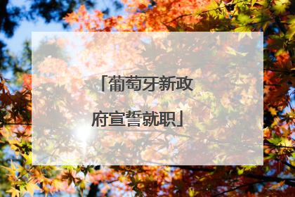 葡萄牙新政府宣誓就职