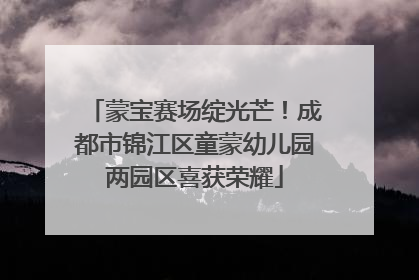 蒙宝赛场绽光芒！成都市锦江区童蒙幼儿园两园区喜获荣耀