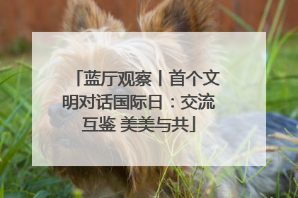 蓝厅观察丨首个文明对话国际日：交流互鉴 美美与共