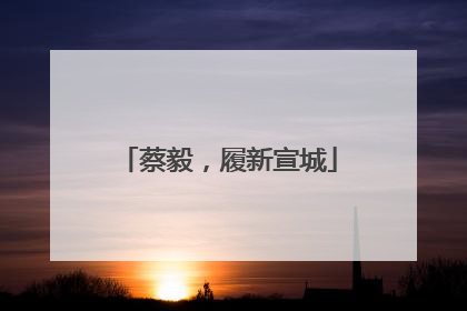 蔡毅，履新宣城