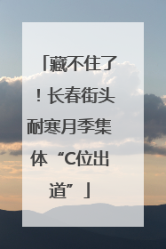 藏不住了！长春街头耐寒月季集体“C位出道”