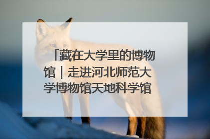 藏在大学里的博物馆｜走进河北师范大学博物馆天地科学馆：在校园里赴一场“宇宙之约”