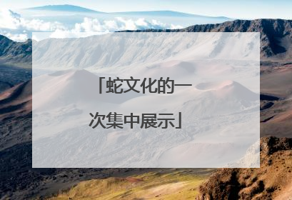 蛇文化的一次集中展示