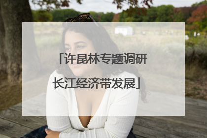 许昆林专题调研长江经济带发展