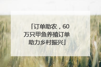 订单助农，60万只甲鱼养殖订单助力乡村振兴