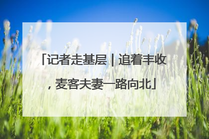 记者走基层｜追着丰收，麦客夫妻一路向北