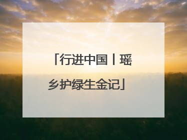 行进中国丨瑶乡护绿生金记