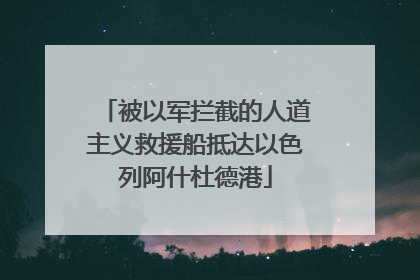 被以军拦截的人道主义救援船抵达以色列阿什杜德港