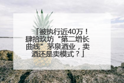 被执行近40万！肆拾玖坊“第二增长曲线”茅泉酒业，卖酒还是卖模式？