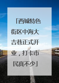 西城特色街区中海大吉巷正式开业，打卡市民真不少