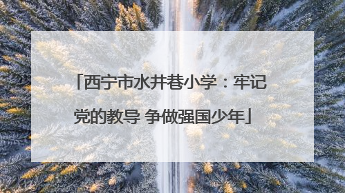 西宁市水井巷小学：牢记党的教导 争做强国少年