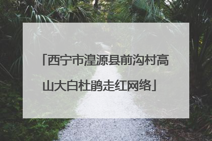 西宁市湟源县前沟村高山大白杜鹃走红网络