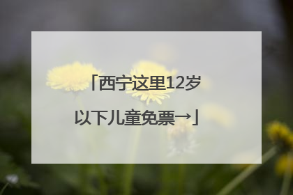 西宁这里12岁以下儿童免票→