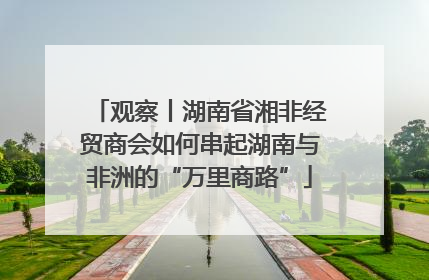 观察丨湖南省湘非经贸商会如何串起湖南与非洲的“万里商路”