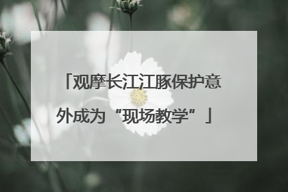 观摩长江江豚保护意外成为“现场教学”