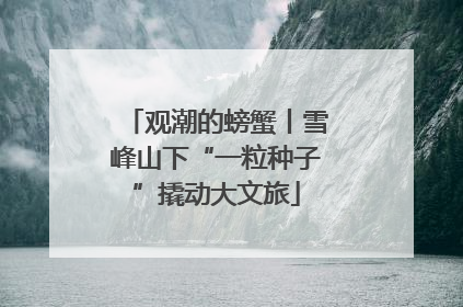 观潮的螃蟹丨雪峰山下“一粒种子”撬动大文旅