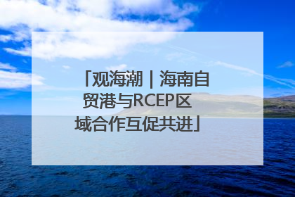 观海潮｜海南自贸港与RCEP区域合作互促共进