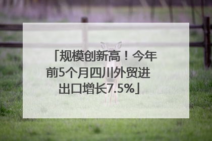 规模创新高！今年前5个月四川外贸进出口增长7.5%