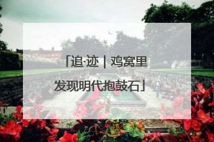 追·迹｜鸡窝里发现明代抱鼓石