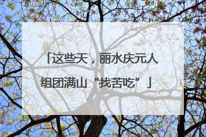 这些天，丽水庆元人组团满山“找苦吃”