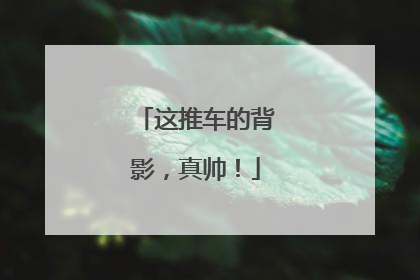 这推车的背影，真帅！