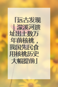 远古发现｜濛溪河遗址出土数万年前核桃，我国先民食用核桃历史大幅提前