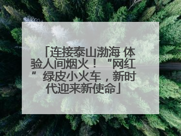 连接泰山渤海 体验人间烟火！“网红”绿皮小火车，新时代迎来新使命