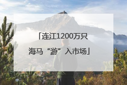 连江1200万只海马“游”入市场