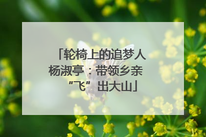 轮椅上的追梦人杨淑亭：带领乡亲“飞”出大山