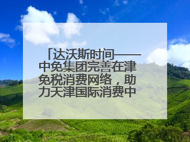 达沃斯时间——中免集团完善在津免税消费网络，助力天津国际消费中心城市建设提质