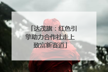 达茂旗：红色引擎助力合作社走上致富新赛道