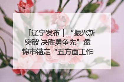 辽宁发布｜“振兴新突破 决胜勇争先”盘锦市锚定“五方面工作”力争全年地区生产总值增长5.5%左右
