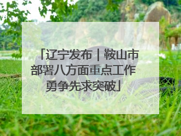 辽宁发布｜鞍山市部署八方面重点工作勇争先求突破