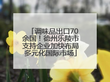 调味品出口70余国！德州乐陵市支持企业加快布局多元化国际市场