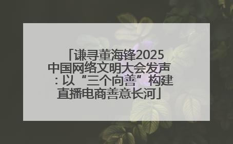 谦寻董海锋2025中国网络文明大会发声：以“三个向善”构建直播电商善意长河