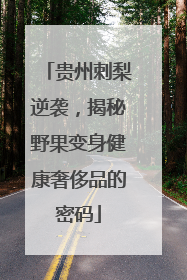 贵州刺梨逆袭，揭秘野果变身健康奢侈品的密码