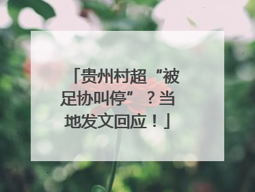 贵州村超“被足协叫停”？当地发文回应！