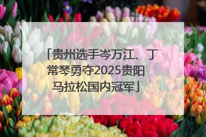 贵州选手岑万江、丁常琴勇夺2025贵阳马拉松国内冠军