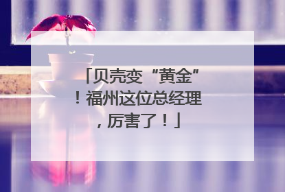 贝壳变“黄金”！福州这位总经理，厉害了！