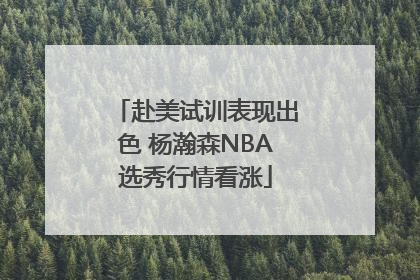 赴美试训表现出色 杨瀚森NBA选秀行情看涨