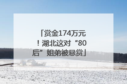 赏金174万元！湖北这对“80后”姐弟被悬赏
