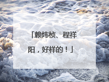 赖炜桢、程祥阳，好样的！