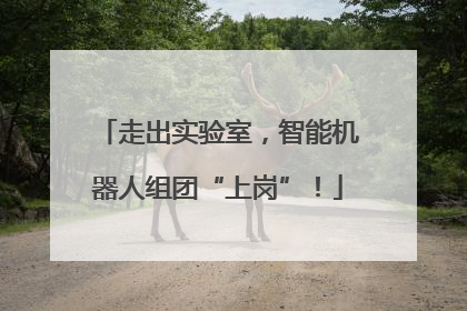 走出实验室，智能机器人组团“上岗”！