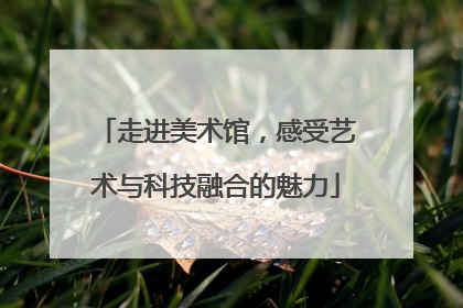 走进美术馆，感受艺术与科技融合的魅力