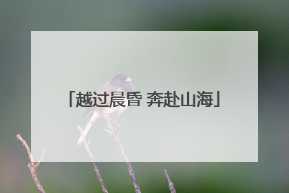 越过晨昏 奔赴山海