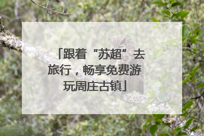 跟着“苏超”去旅行，畅享免费游玩周庄古镇