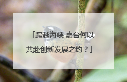 跨越海峡 嘉台何以共赴创新发展之约？