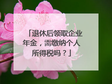 退休后领取企业年金，需缴纳个人所得税吗？